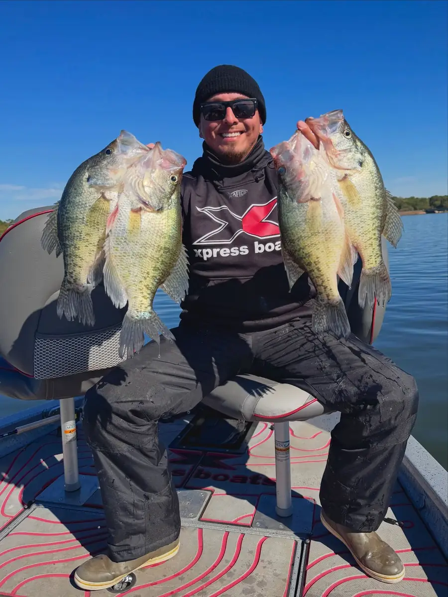 A double handful of crappie